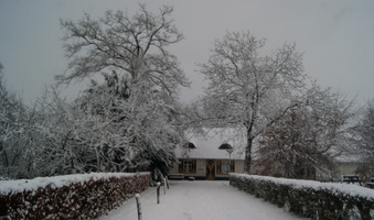171210-PK-sneeuwval in Heeswijk- 9c 